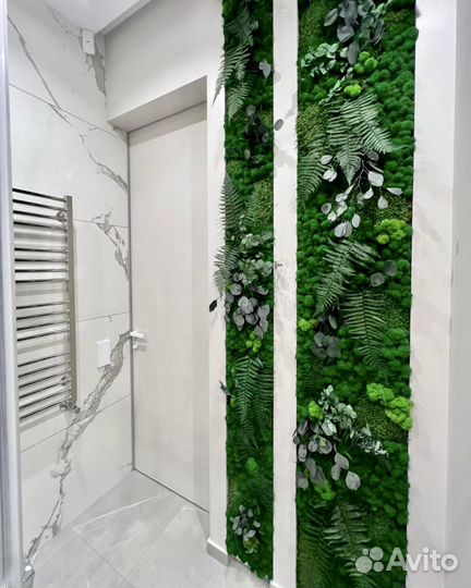 Вертикальное озеленение Мхом и Растениями