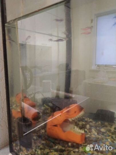 Высокий аквариум 60 см