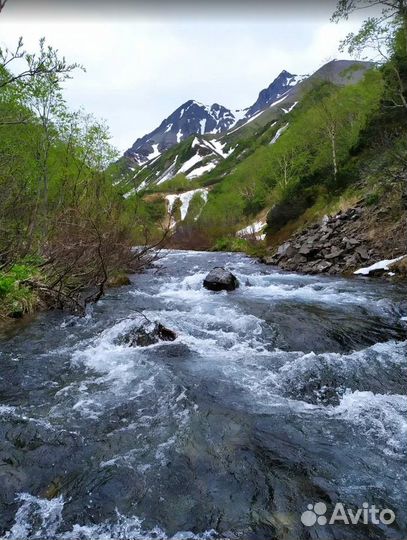 Турпоездка Камчатка экскурсии от 5 - 9 дн