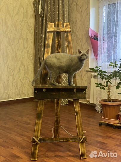 Мольберт для рисования новый