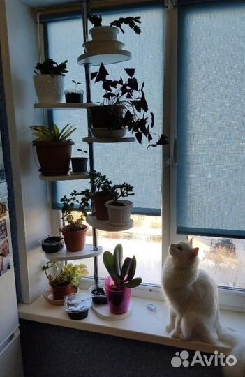 Цветочная полка в распор