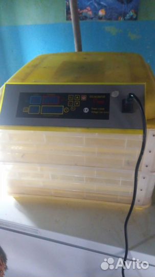 Продам инкубатор