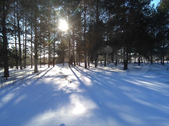 Участок 50 сот. (СНТ, ДНП)