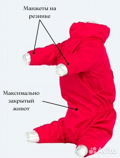 Одежда для собак мелких пород