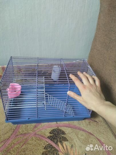 Клетка для грызунов
