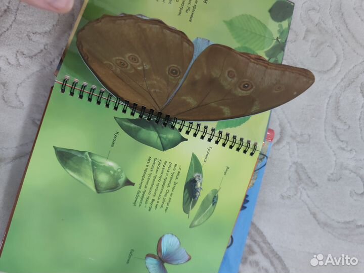 Книги про животных