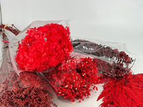 Стабилизированные цветы красные создание букета
