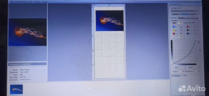 Программа Acrorip 9.0.3 Русский язык