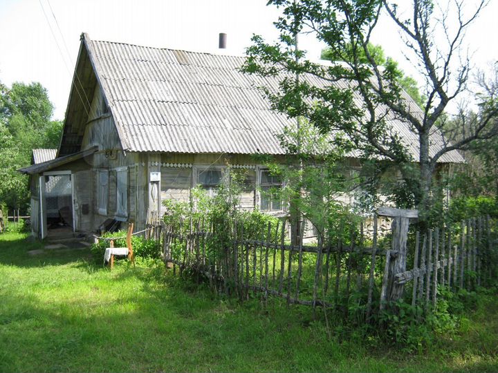 Дом 50 м² на участке 50 сот.