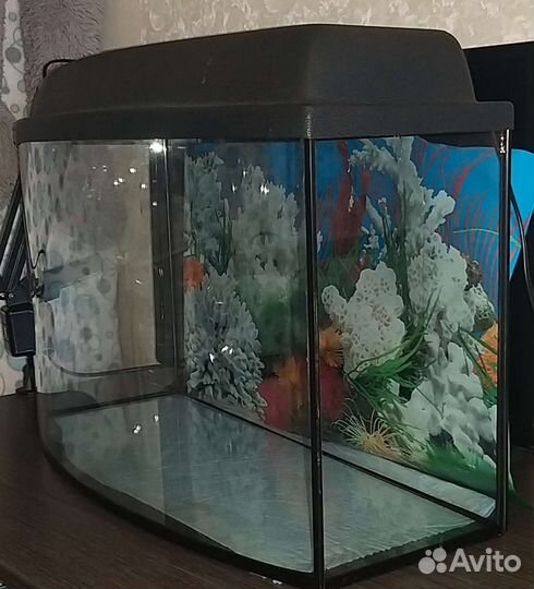 Аквариум 45-50 литров