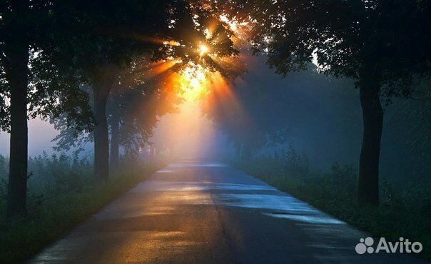 Экскурсии-замки,кирхи,обзорная,Куршская косаа