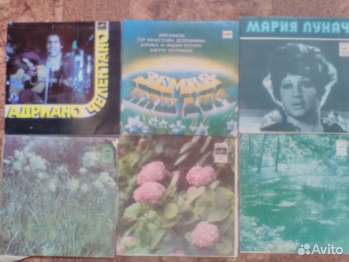 Пластинки мини и гибкие