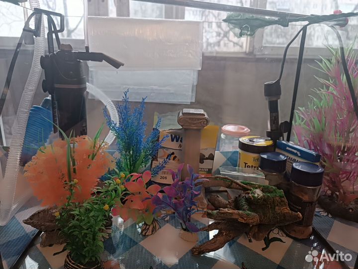 Аквариум для рыб