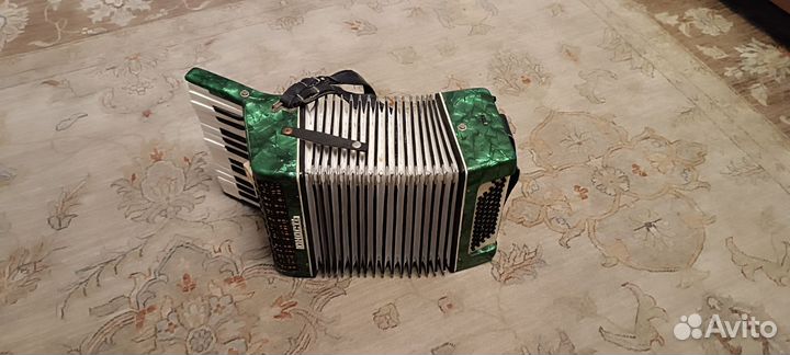 Аккордеон юность 1/2