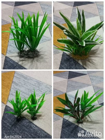 Искуственные растения Камни Ракушки