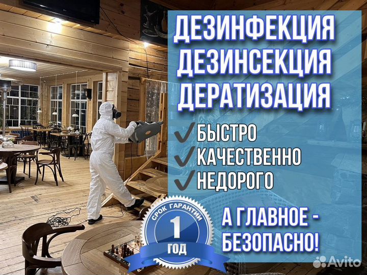 Уничтожение клопов, тараканов. Дезинфекция