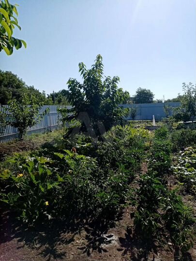 Дом 81 м² на участке 9 сот.