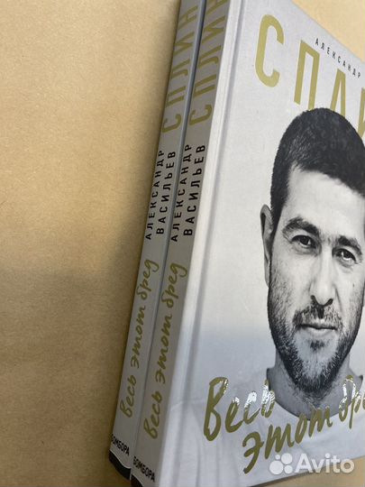 Сплин. Весь этот бред