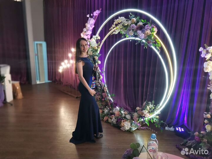 Живая музыка / скрипка