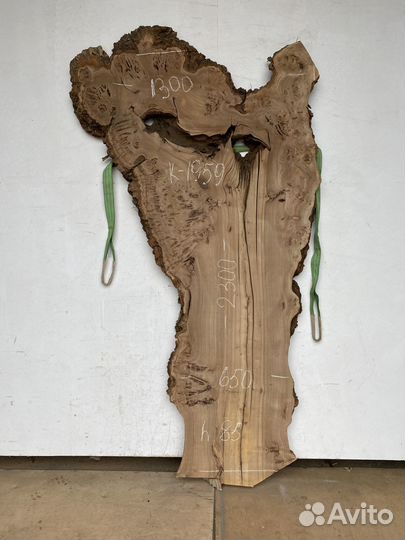 Слэбы карагач