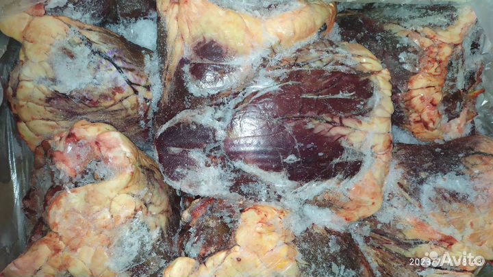 Сердце говяжье