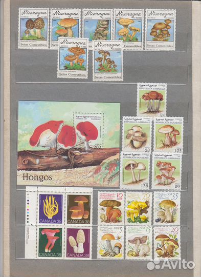 Марки Грибы