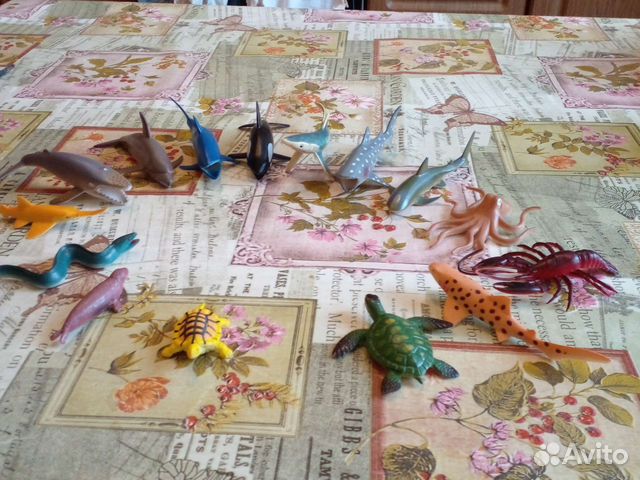 Марские животные