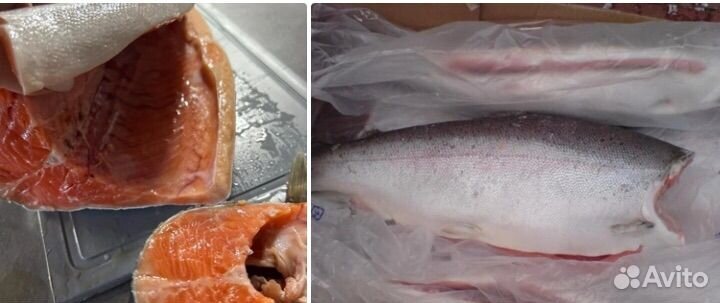 Форель морская свежемороженная