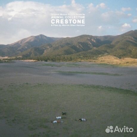 Animal collective - Crestone (LP)