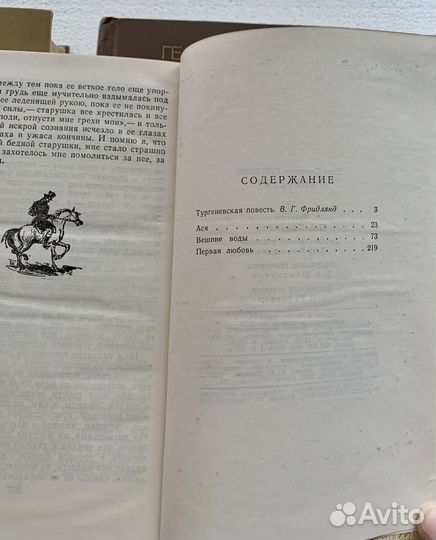 Раевский, Свиридов, Тургенев, Гончаров,Достоевский