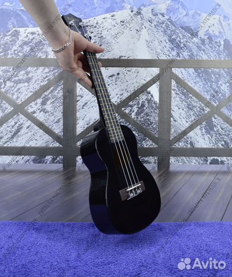 Укулеле - концерт (новая), комплект