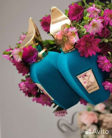 Духи Sospiro-Xerjoff Erba Pura