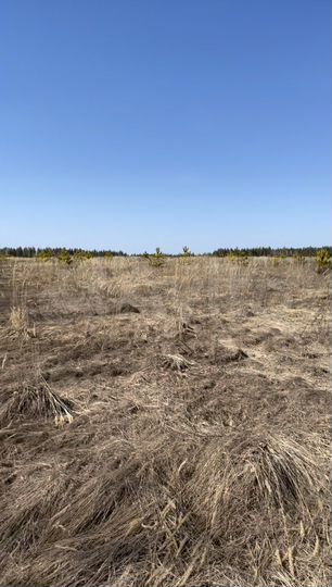 Участок 111 га (СНТ, ДНП)