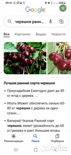 Черевишня(дюк)