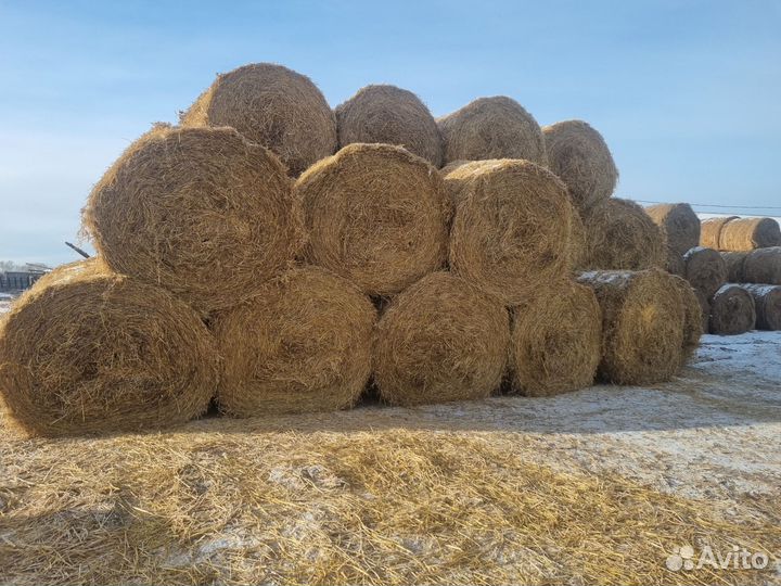 Сено,солома,кормовая солома