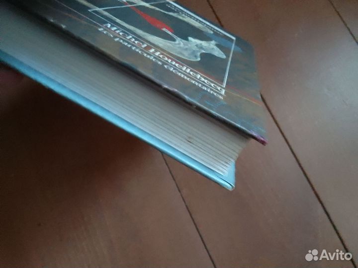 Уэльбек, Элементарные частицы