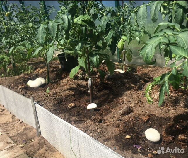 Перегной, компост грибной