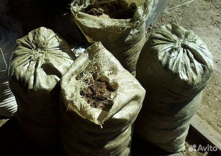 Навоз конский