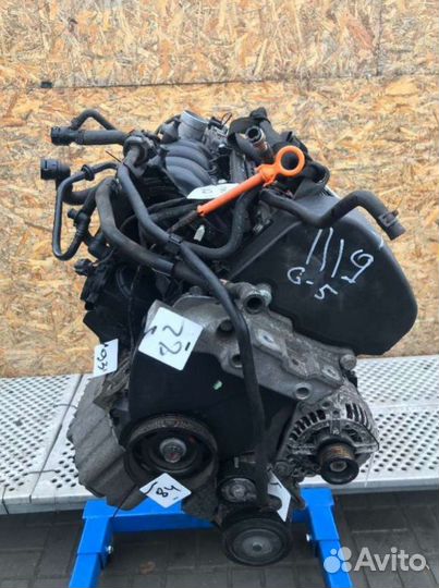 Двигатель volkswagen golf 5 BCA 1.4 Бензин МКПП