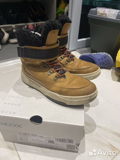 Ботинки geox 38 мальчик