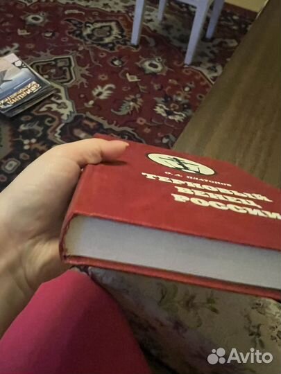 Платонов. Терновый венец России.История масонства