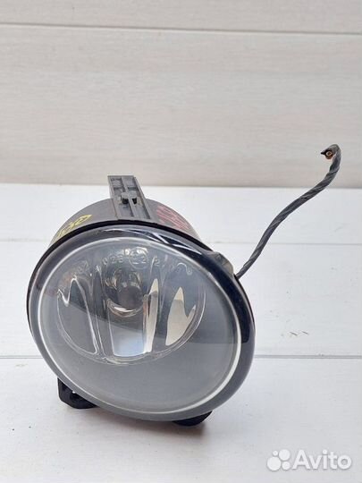 Фара противотуманная передняя правая Bmw X5 E53