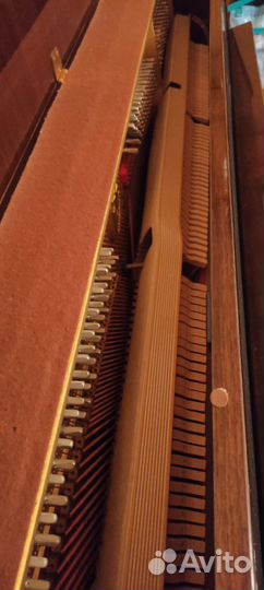 Пианино petrof