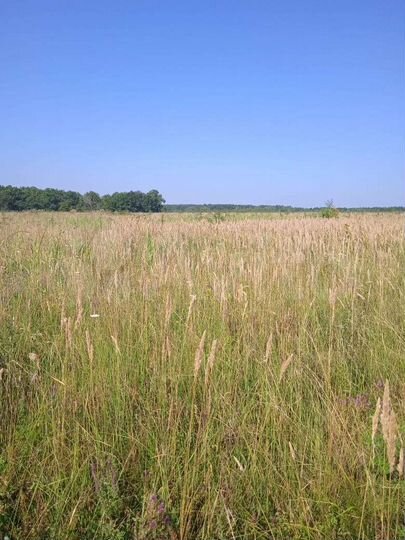 Участок 95 га (СНТ, ДНП)