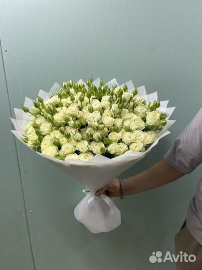 Пионовидные кустовые розы 51шт 101шт