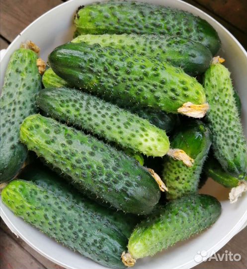 Яблоки, огурцы, перец, кабачки