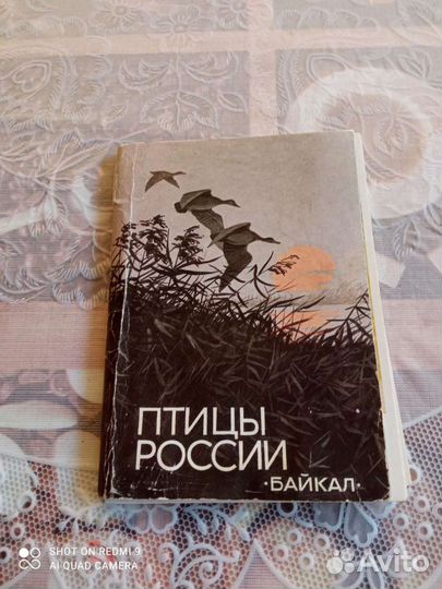 Фото советских артистов