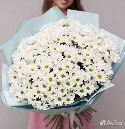 Хризантема Доставка цветов