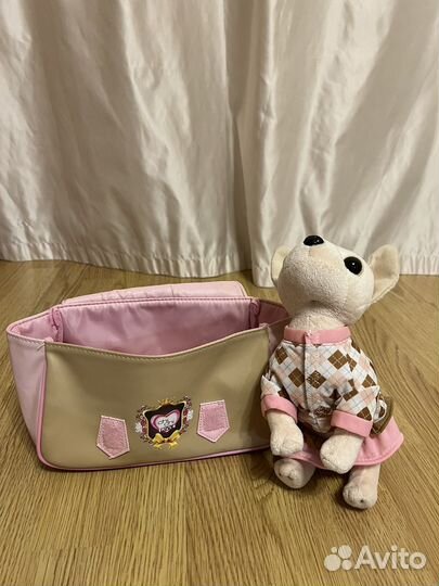 Chi chi love собачка