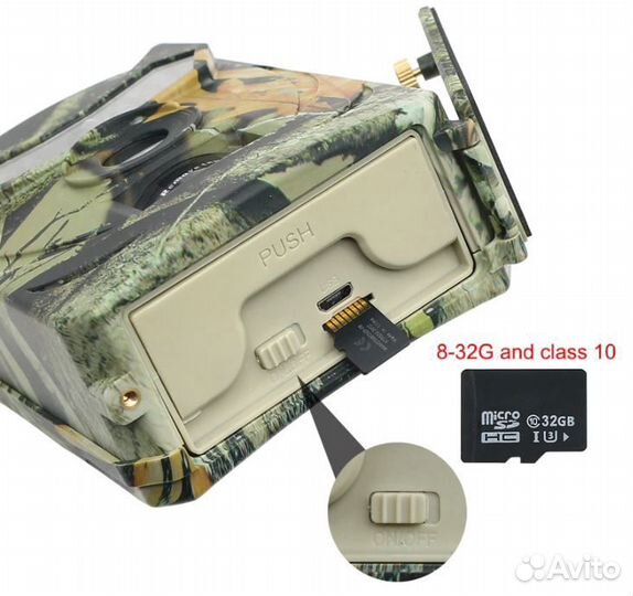 Фотоловушка Филин